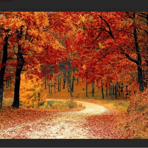 โ๏ธ๐๐๐๐ฆ๐งฅ - Picture 1 of 1